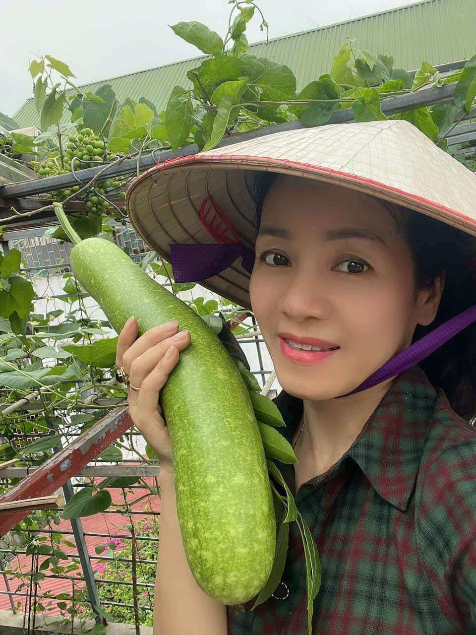 Chuyện hàng ngày! 