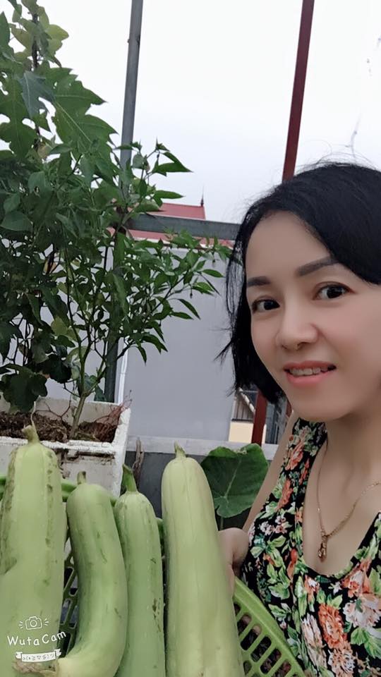 VÔ ĐỀ