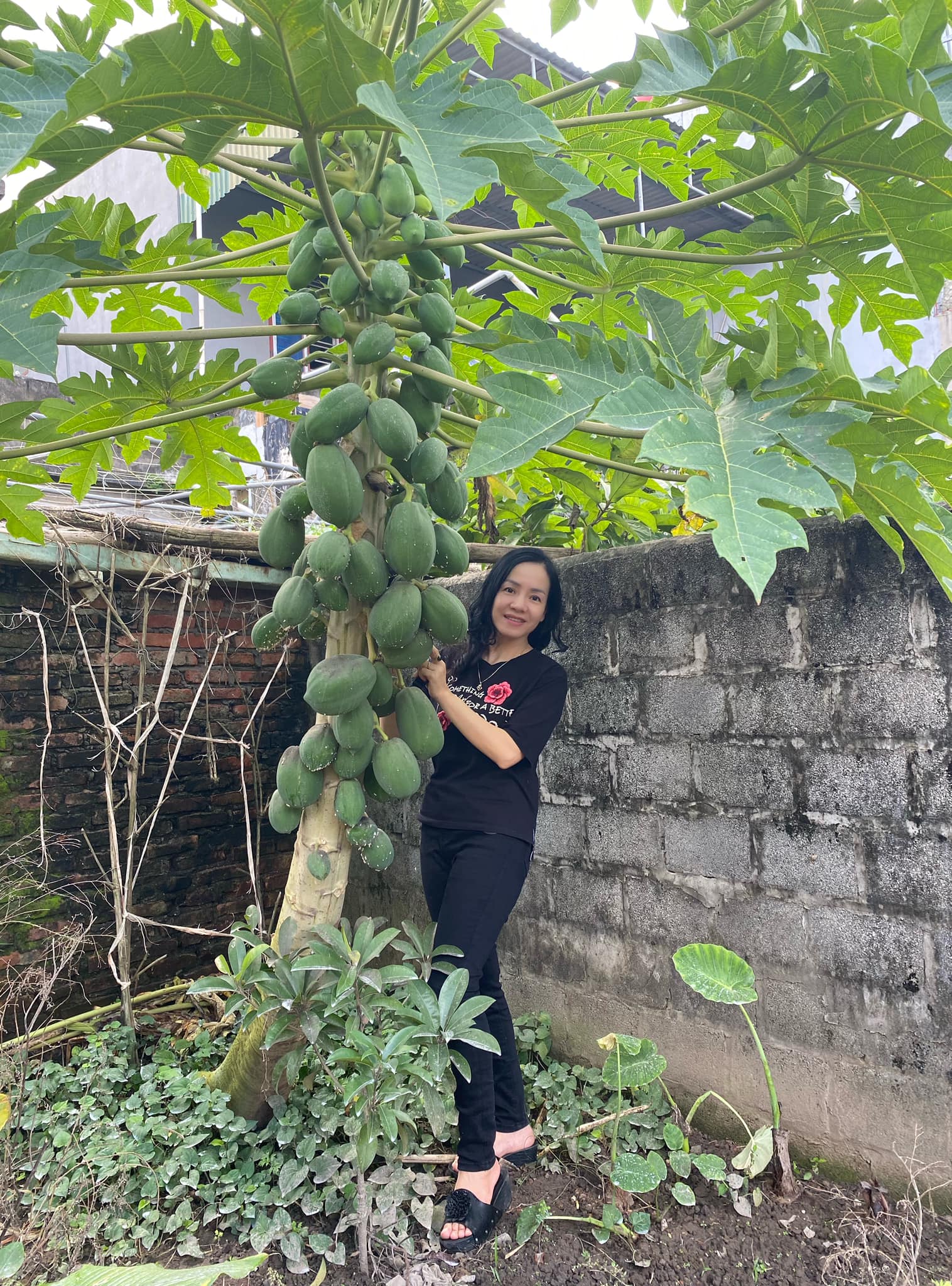 NGẮM GÌ SỚM MAI!